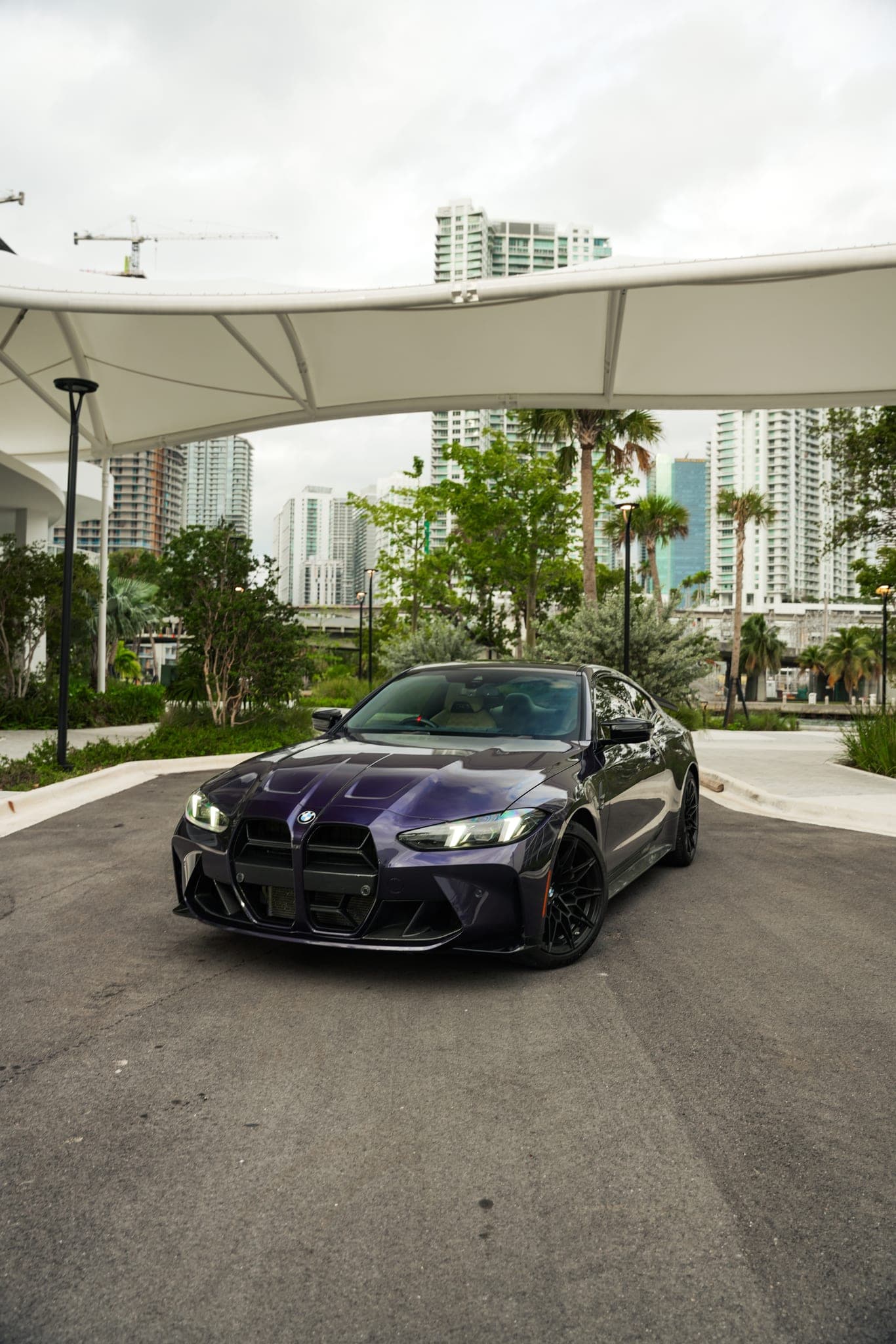 BMW M4 Competition, Individual Violet, photo 1 of 11