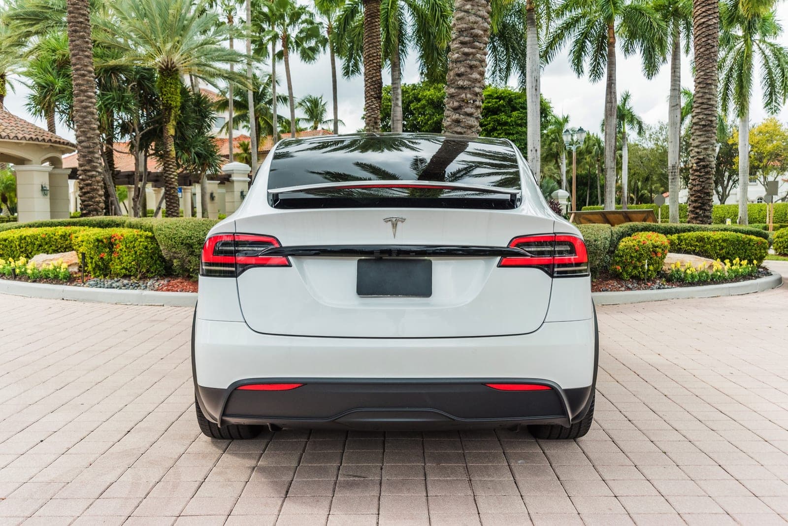Tesla Model X, Pearl White over White, photo 6 of 10