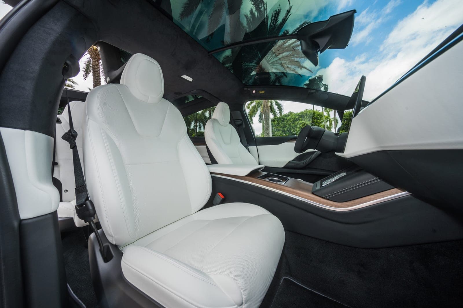 Tesla Model X, Pearl White over White, photo 9 of 10
